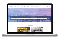 Travel Search Engine
